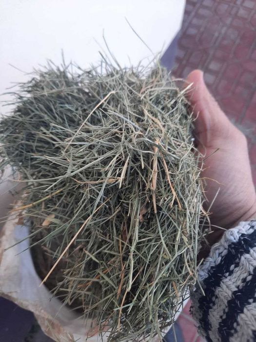 хашак қопларда,  қўйларга/ еки қипиғга алмашаман