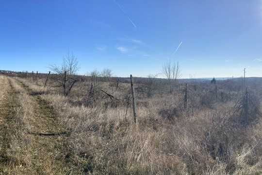 Продава се Парцел в Варна, Аспарухово - 8556 кв.м за 6 €/кв.м - Снимка #6