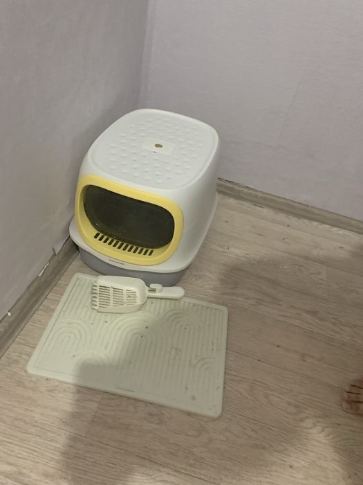 Отдаю кота в добрые руки