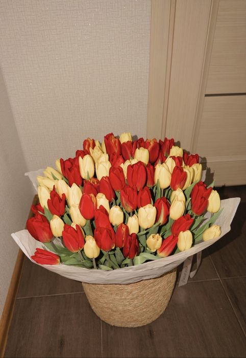 101 тюльпан свежий