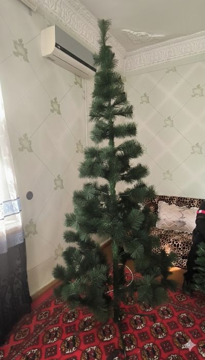 Большая и маленькая ёлка