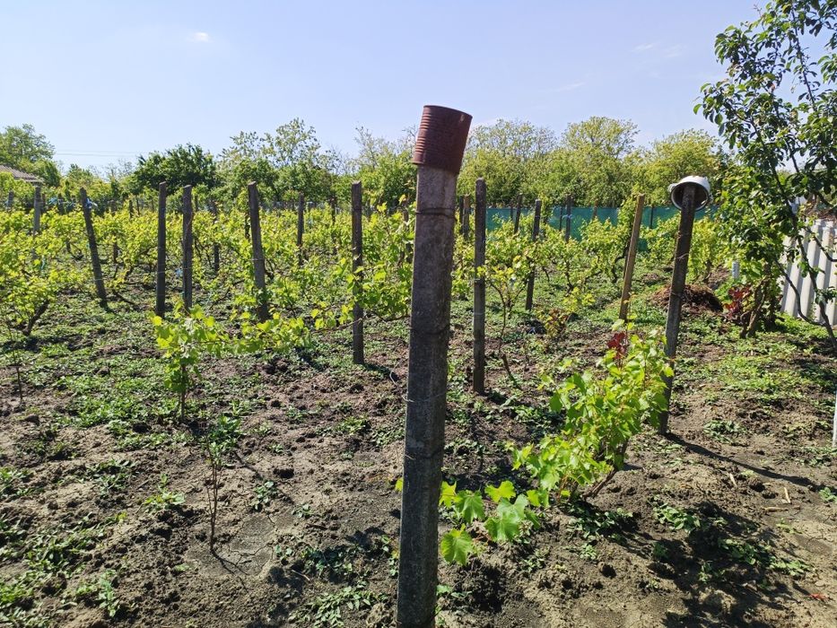 Casă cu teren 10 ari