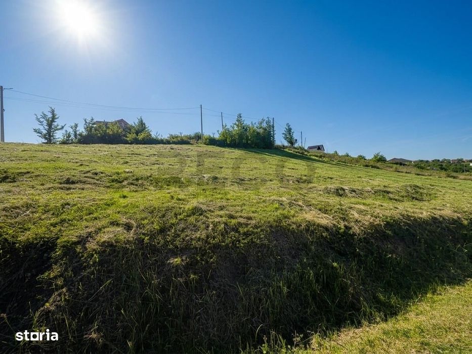 RECO Teren 1000 mp cu dublu front stradal in Saldabagiu de Munte