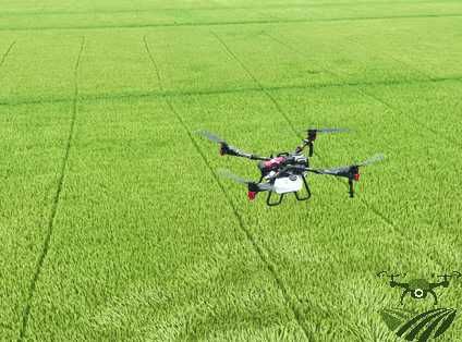 Пръскане и торене с дрон