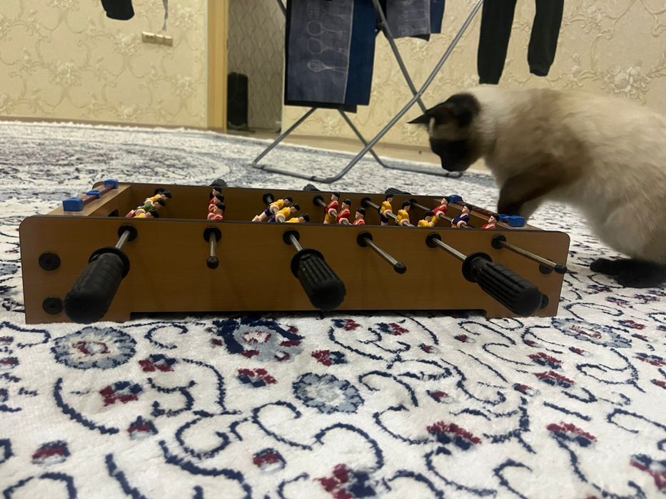 Настольный футбол