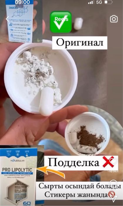 Pro lipolytic пролиполитик