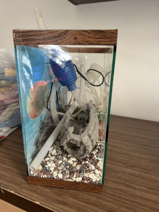 Аквариум без рыб все нудное есть