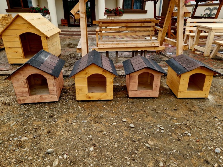 cotețe cățeluși și pisicuțe