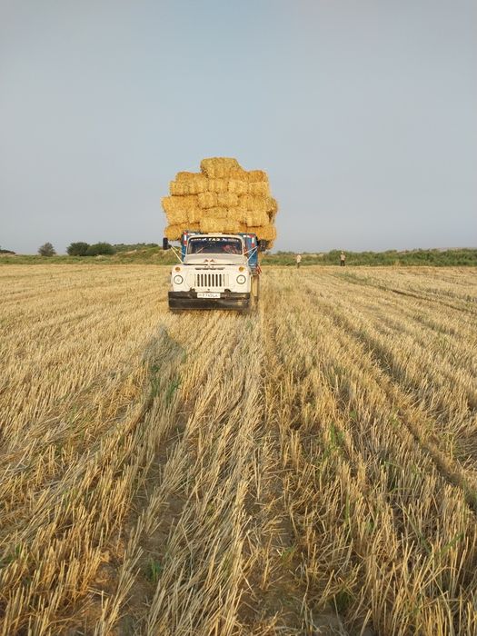 Gaz 52 kafolati bilan