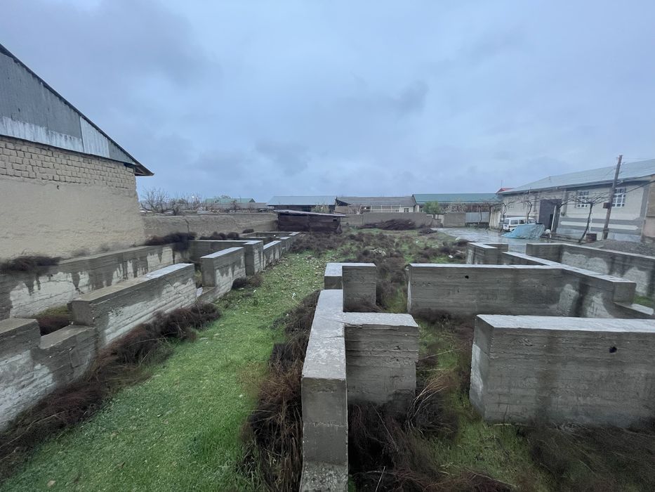 Уй таййор курса булади Turkman mahalla 37 avtobus kanechkasida