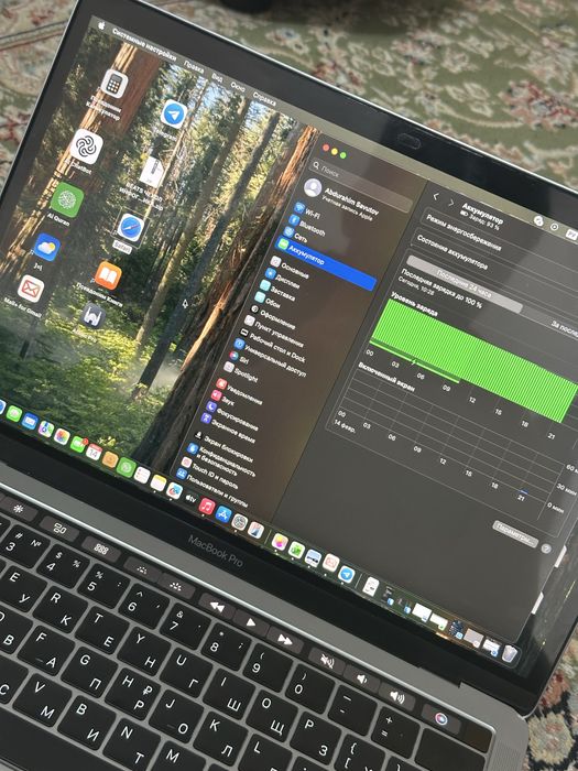 MacBook Pro 13 (2019.г)