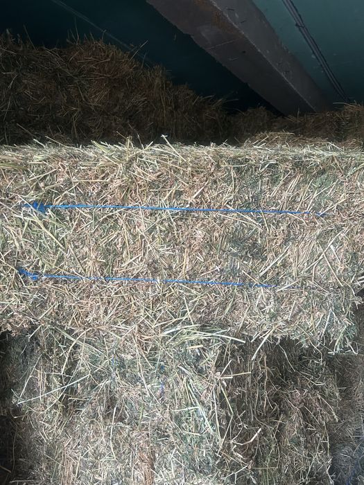 Vand baloti de lucerna curata fara iarba