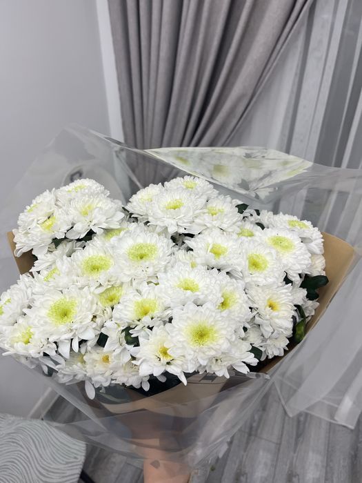 Продам б у цветы