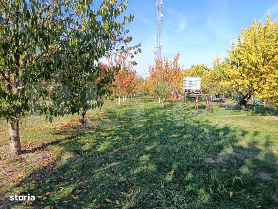 Teren Intravilan 3325 mp Magurele Prahova , Oportunitate !