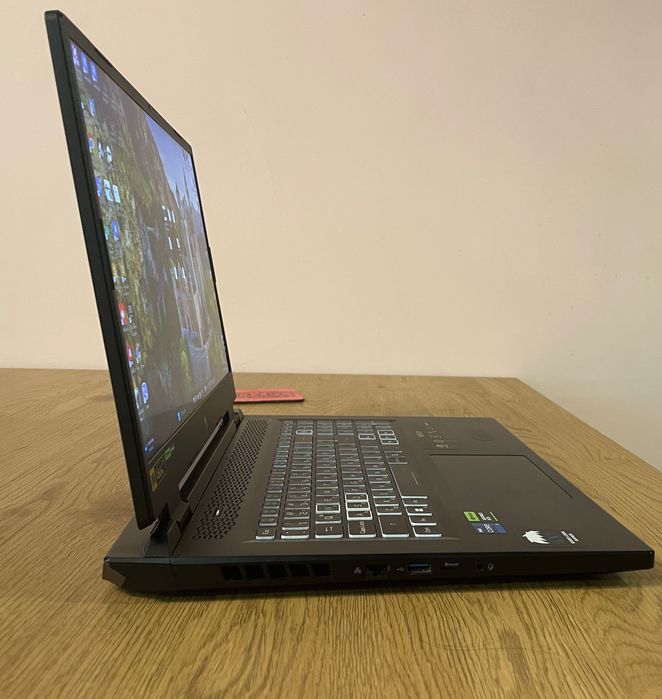 Acer Nitro 17 / i7-13700HX / RTX 4060 / 32GB RAM / 1TB SSD / 165Hz