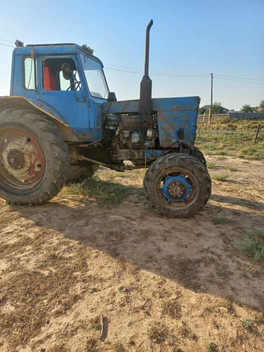 На хаду. Сокасы бар