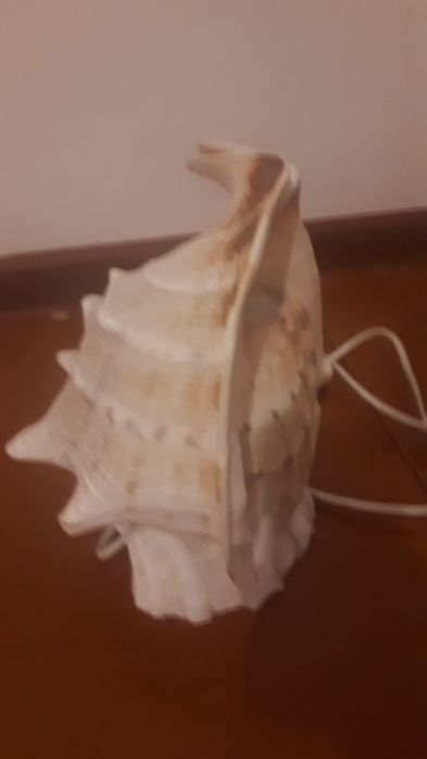 Светильники в форме ракушек