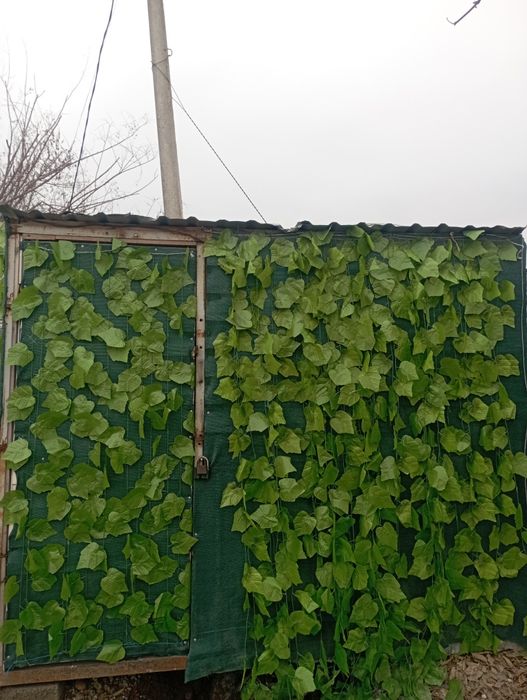 Butka sotiladi narxini kelshamz 2ta baloni bor