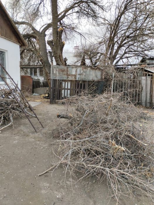 Дрова самовывоз конаев