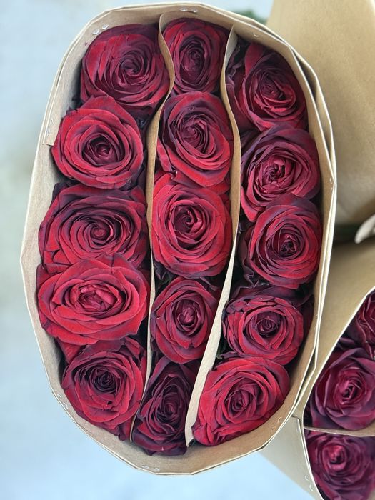 Цветы на прямую с теплицы