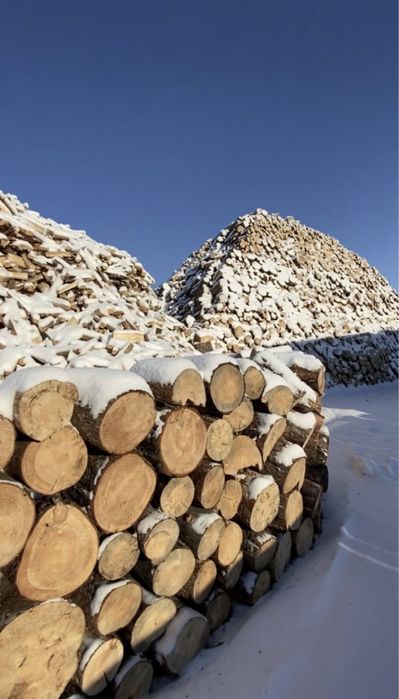 Дрова сухие сосна