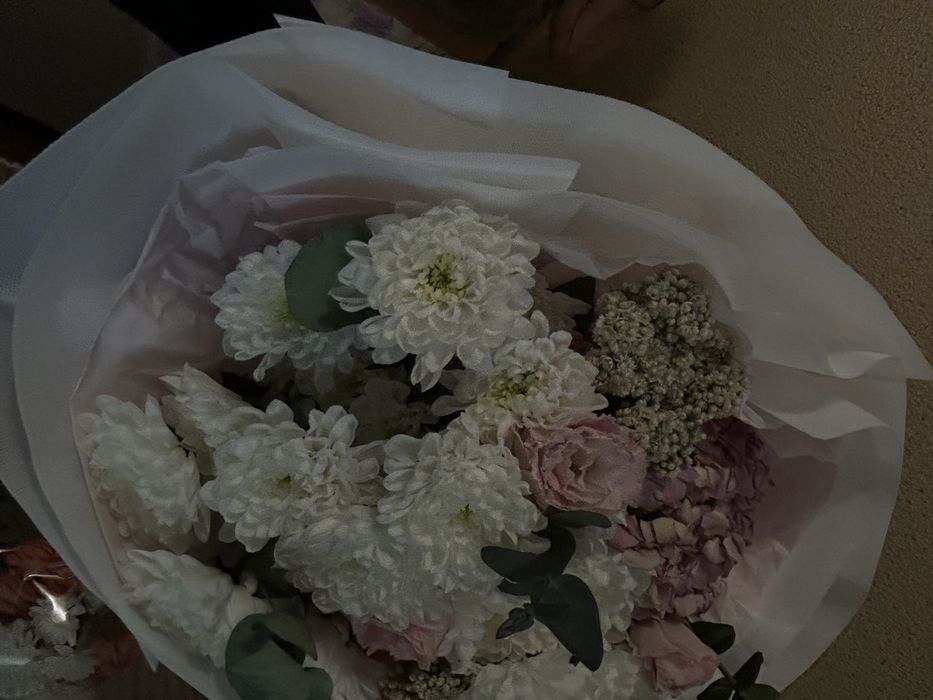 Продам цветы недерого