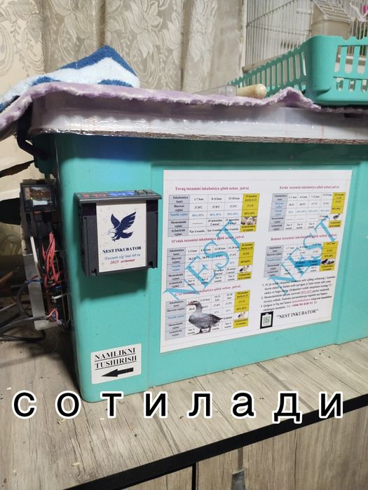 Инкубатор на 60 куриных яиц