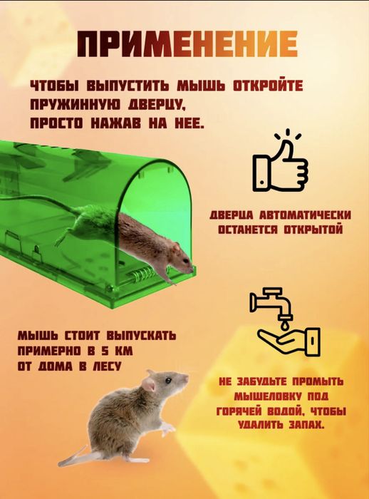 Гуманые мышеловки