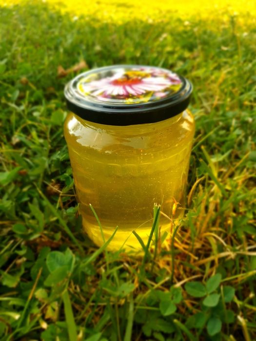 Miere Salcam(3T)/Poliflora/ TEI(6T) Engross