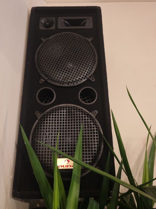 Професионлни колони с усилвател за заведение