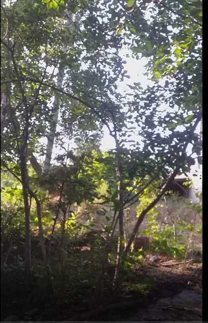 участка  сотилади