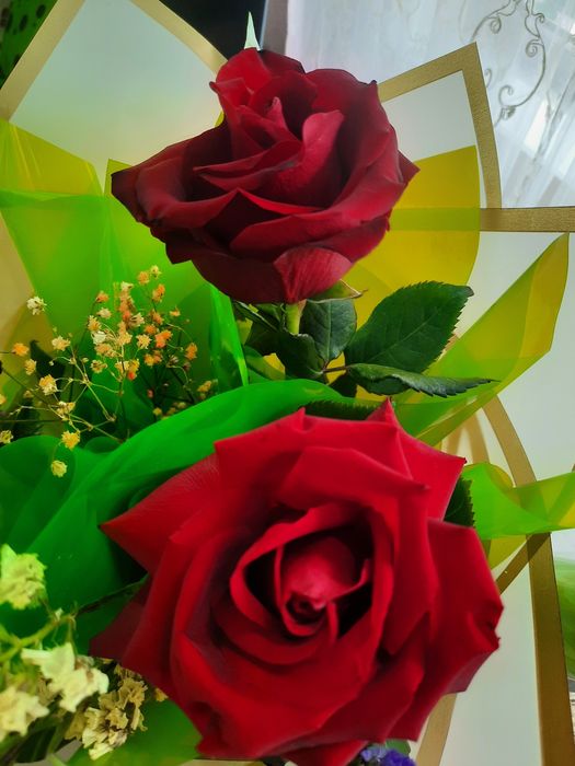 Цветы, розы, 3 шт. 1 букет