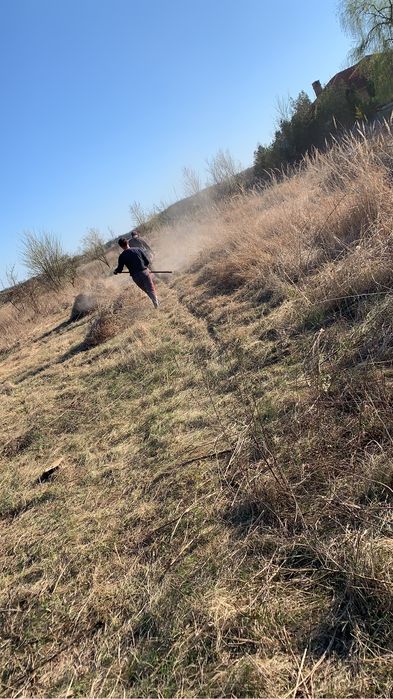 Servicii de curățare și defrișare ternuri de vegetație spontană….etc!!