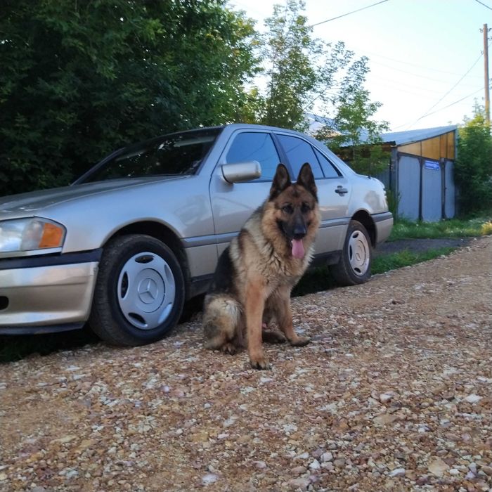 Вязка кабель немец