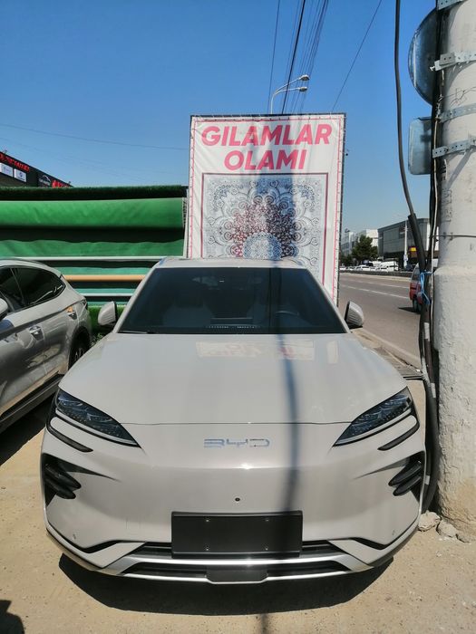 byd song plus champion ev