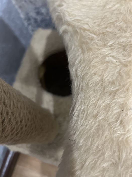 Домик когтеточка