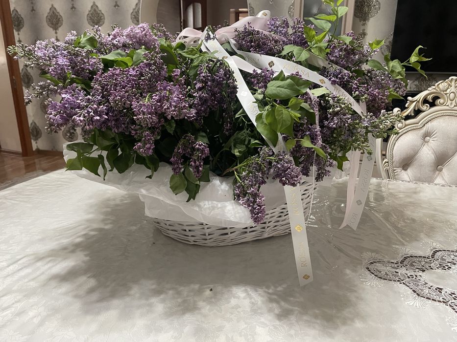 Сирень в корзине свежие