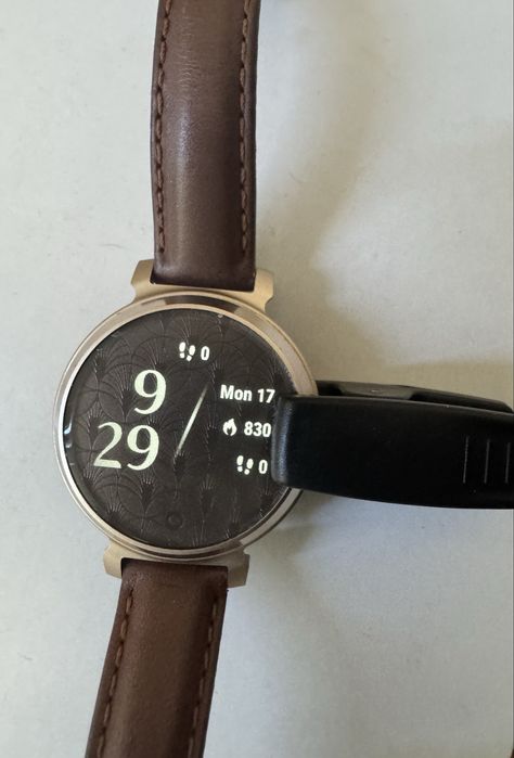 Garmin Lily 2 Classic