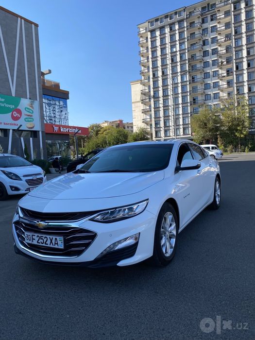 Malibu Premier малибу
