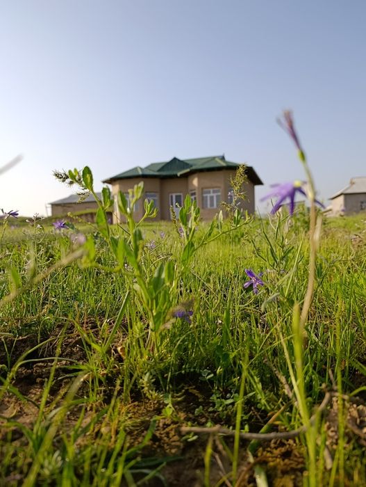 Уй-жой ховли сотилади