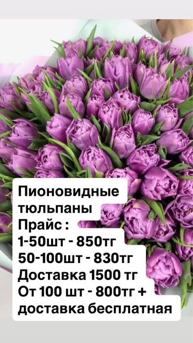 Тюльпаны в городе Костанай