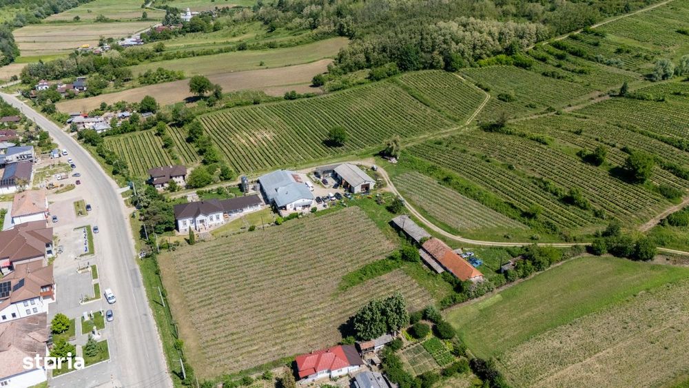Cramă Premium De Vânzare -60 Ha- Conac Istoric- Podgoria Drăgășani