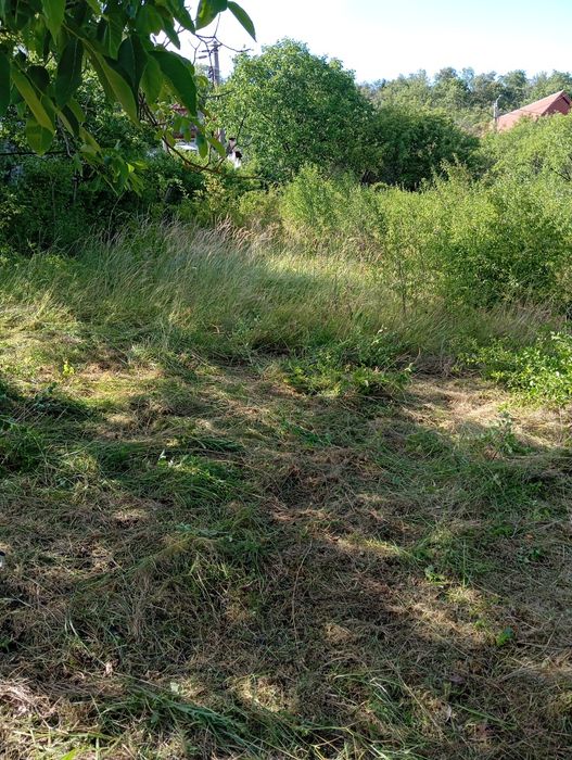 Executam defrișări, toaletări copaci,cosit iarba.Realizam debarasări