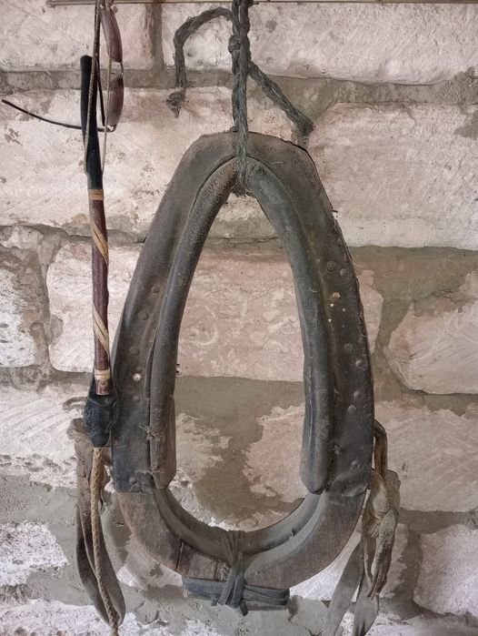 Камыт сатылады жагдайы жаксы