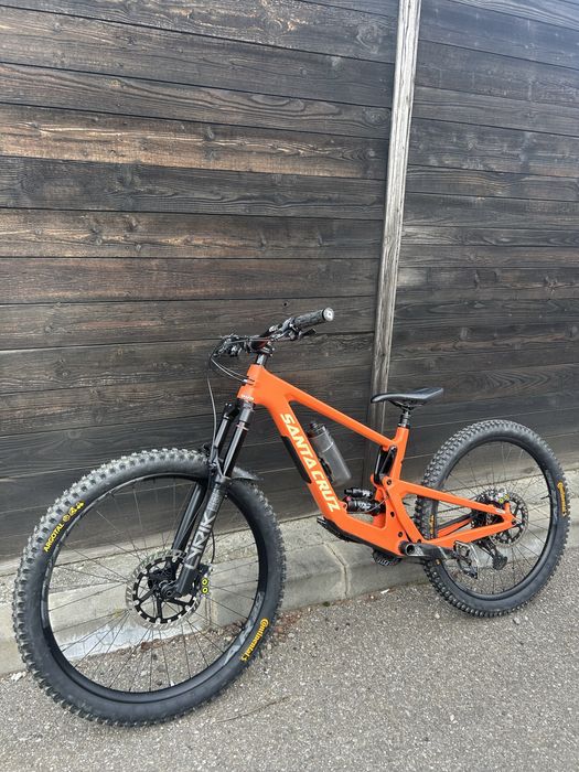 Santa cruz bronson