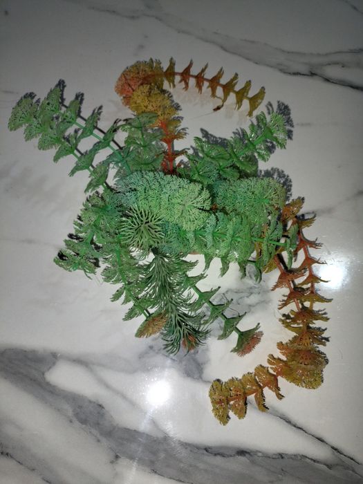 Akvarium uchun aksesuarlar sotiladi