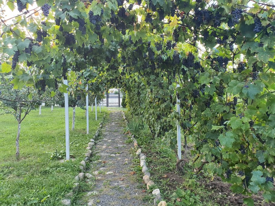 Teren casă str. Chateau Thierry,  Cisnadie