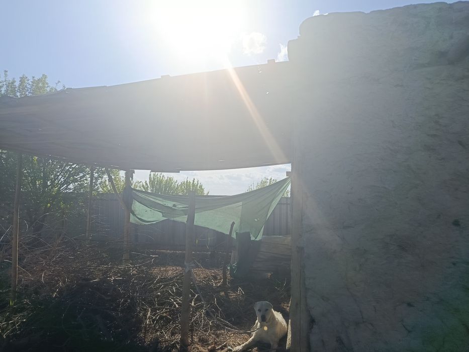 Yer maydoni sotiladi  Buxoro viloyati jondor tumani 10s