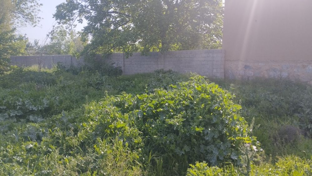 Yer uchastkasi sotiladi