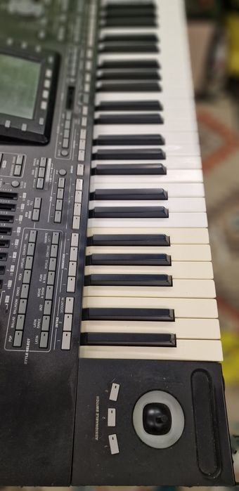 Recondiționare(albire) claviaturi Korg Pa3x,Pa4x,Pa2x,Pa1x